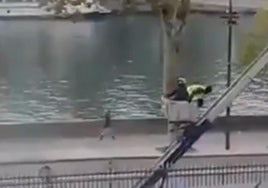Difunden un vídeo de la huida de los ladrones del Louvre: «Joder, llega la Policía»