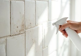Despídete del moho y la humedad con este el spray antimoho que recupera tus paredes en pocos minutos