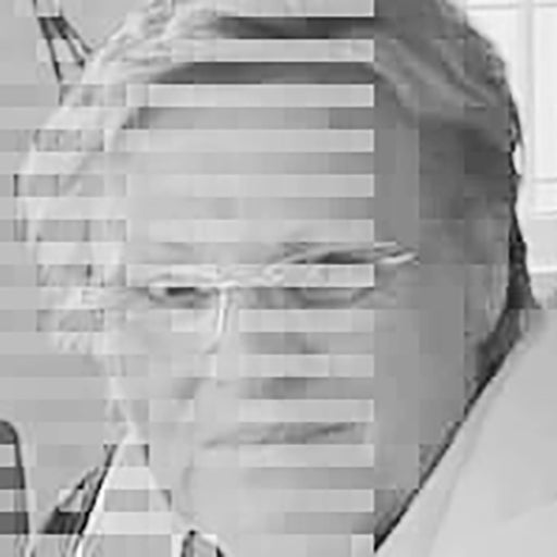 Foto de Francisca P. V.