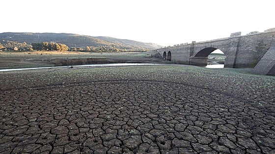 La factura anual de la inacción frente al cambio climático: 500.000 muertos por calor y 2,5 millones por contaminación