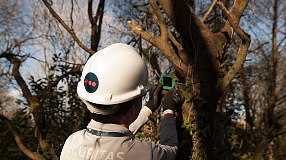 Una 'nariz' en el bosque para adelantarse a los incendios