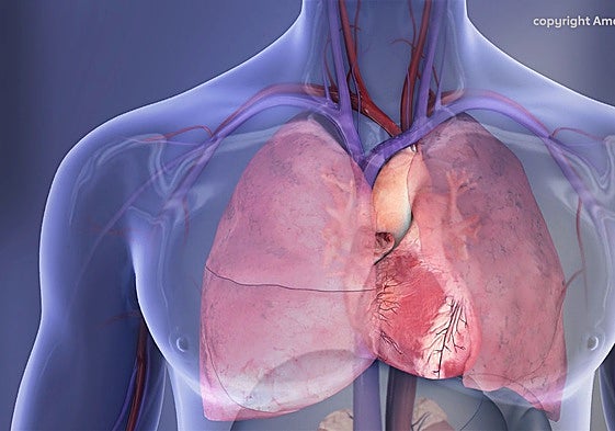El uso de melatonina contra el insomnio y el jet lag podría producir insuficiencia cardiaca