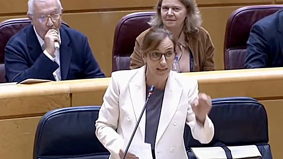 Pillan a Javier Arenas vapeando en el Senado durante la intervención de Mónica García