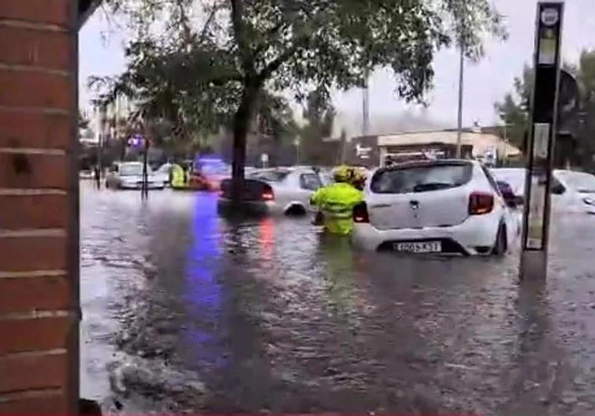 Imagen captada junto a la estación de autobuses de Cáceres.