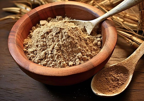 ¿Te atreves con un brownie de harina de insecto?