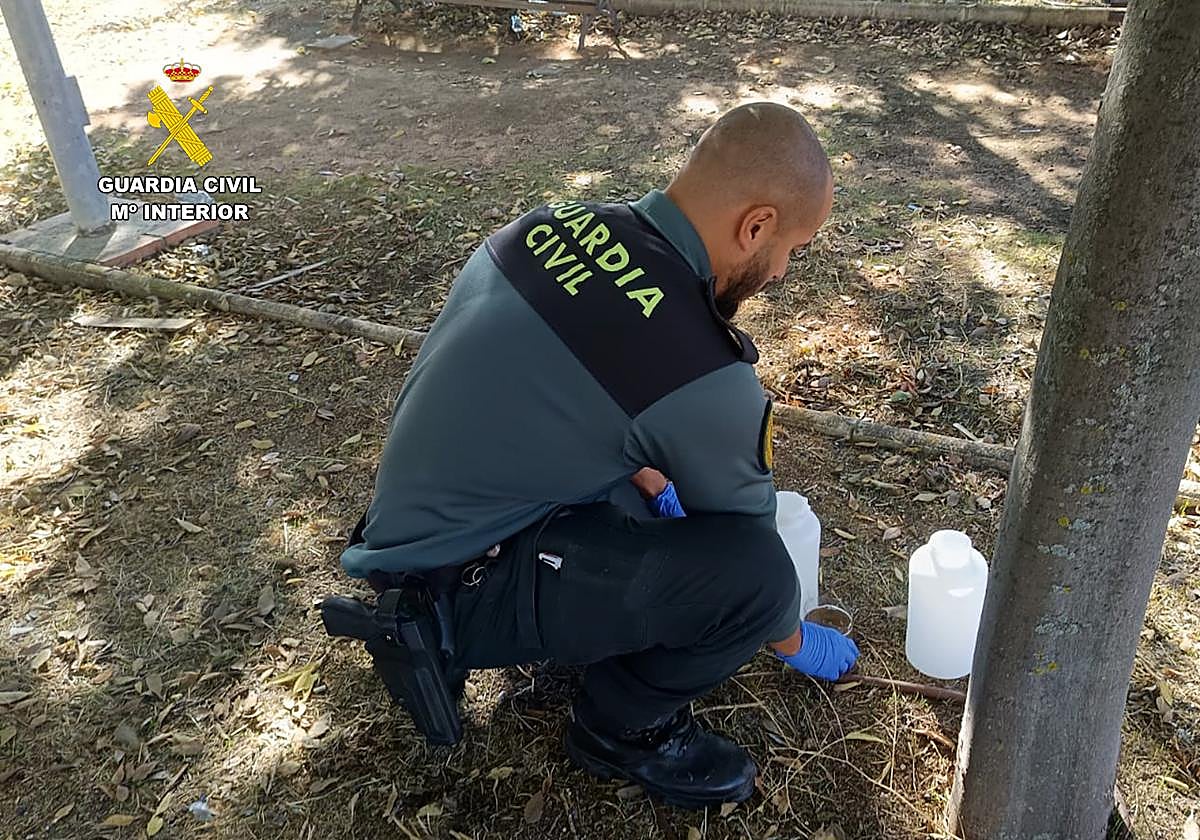 Civil Guard removes bowls of poisoned water.