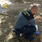 Guardia Civil retira los cuencos de agua envenenada.