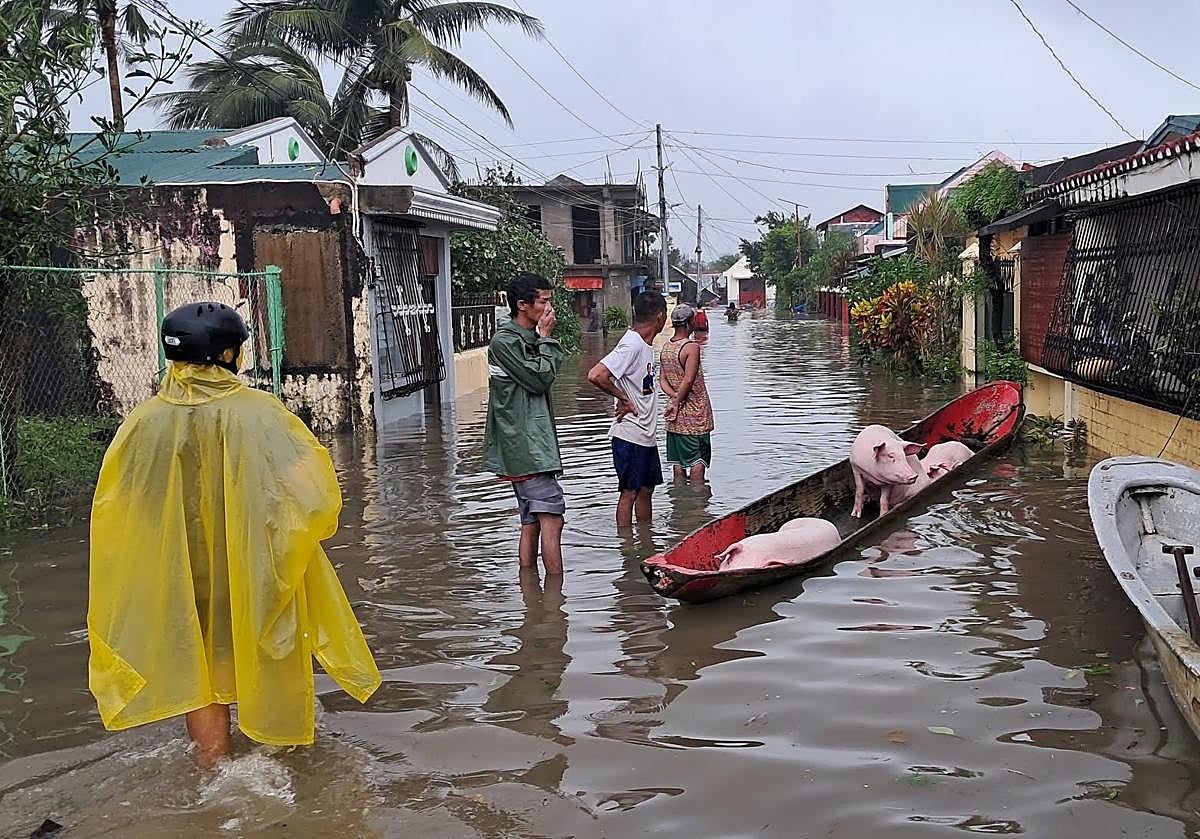 Evacuación de personas y animales de granja en Catanduanes.
