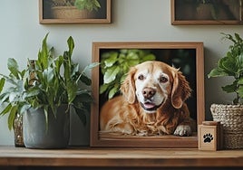 Errores que no debemos cometer con los niños cuando muere una mascota