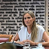 La vicepresidenta tercera y ministra para la Transición Ecológica, Sara Aagesen.