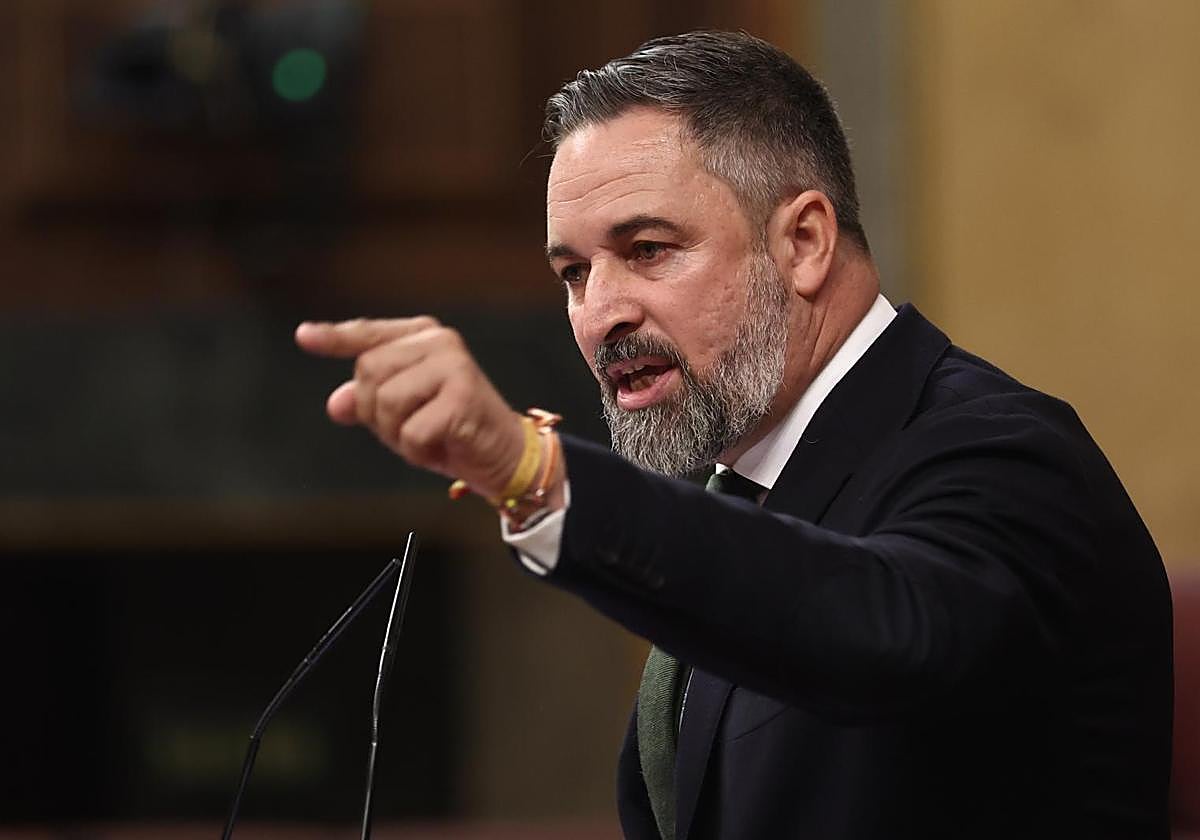 Santiago Abascal, en el Congreso.