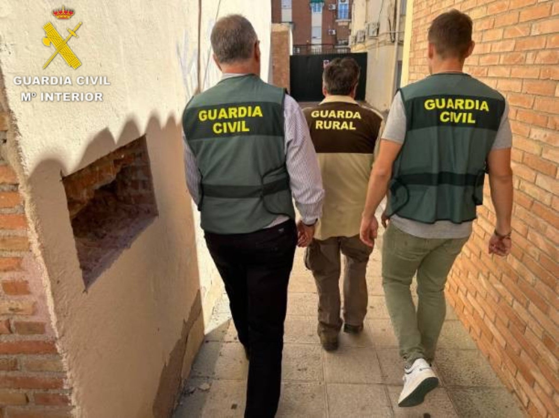 Security Guard Arrested in Toledo for Shooting an Iberian Imperial Eagle