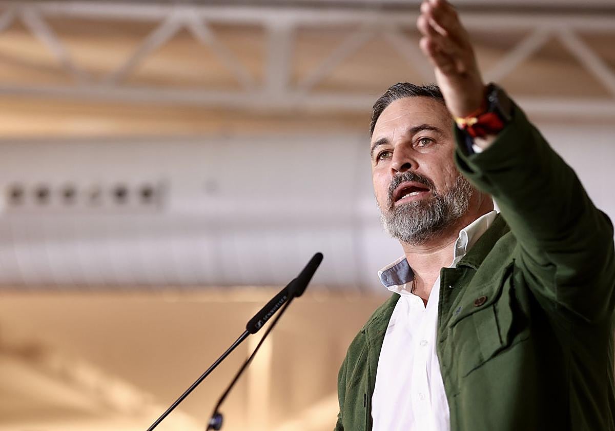 El líder de Vox, Santiago Abascal.