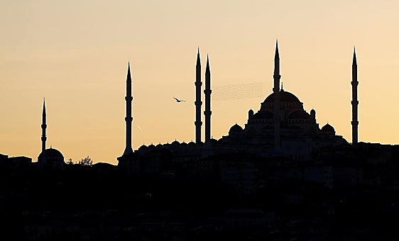 Mueren dos menores alemanes y sus padres tras inhalar insecticida en un hotel de Estambul