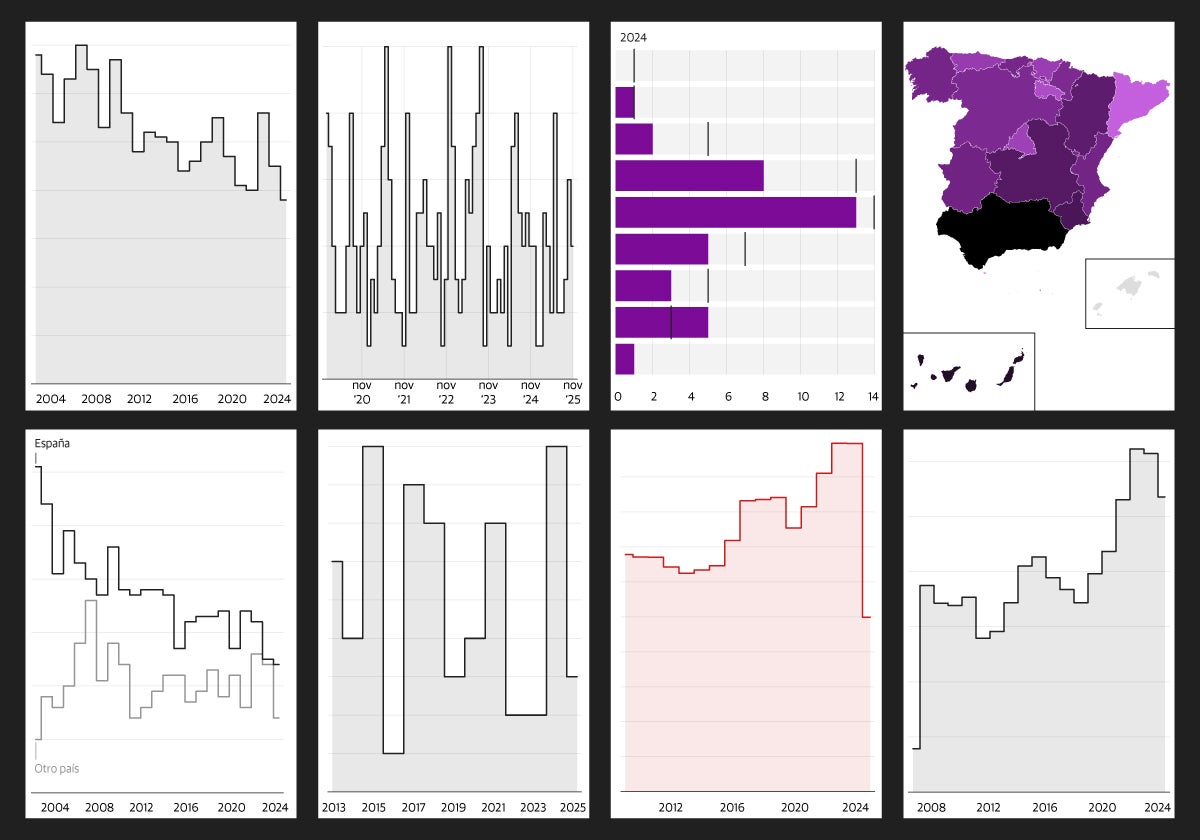 Ocho gráficos para poner cara a los datos de violencia de género