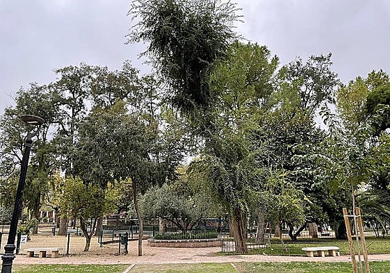 Parque de la Concordia en Jaén.