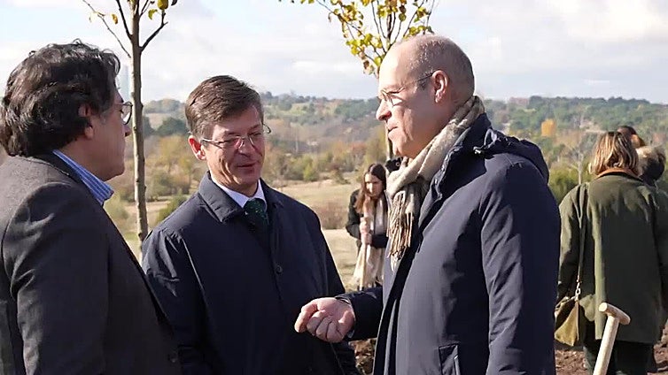 Nueva siembra de árboles en el Bosque del Propósito de Madrid: las raíces de la responsabilidad social