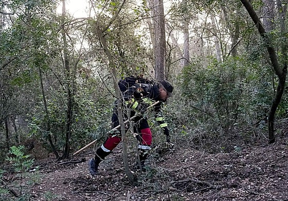 Un miembro de la UE rastrea la zona cero de la peste porcina.