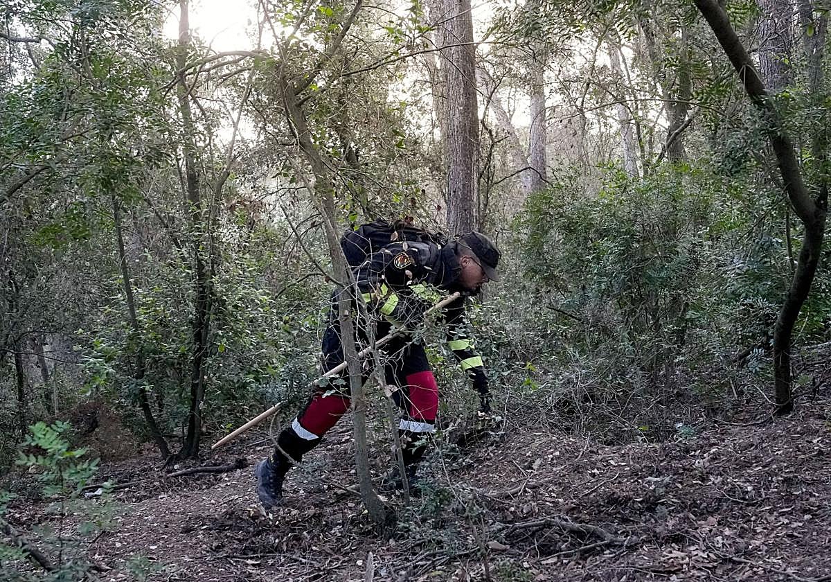 Un miembro de la UE rastrea la zona cero de la peste porcina.