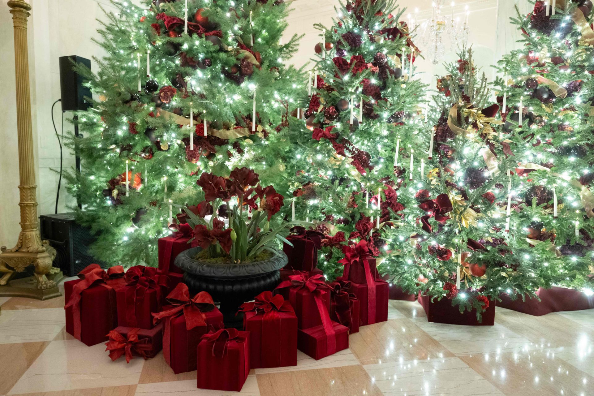 Los Trump ya celebran la Navidad en la Casa Blanca