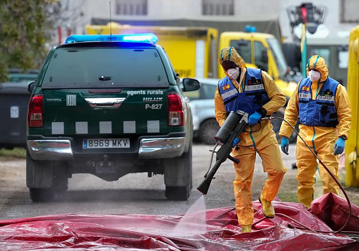 Desinfección por parte de la UME de un vehículo de los Guardias Forestales