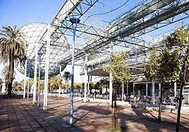 Bar La Bola, en la Isla de la Cartuja