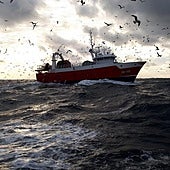 El Gobierno vasco, preocupado por un posible recorte del 70% de las capturas de verdel para 2026