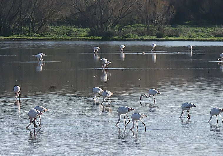 La Fundación BBVA convoca el Programa Prismas y Problemas, dotado con 3 millones de euros