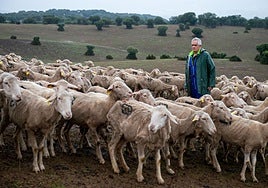 Un pastor con su rebaño.