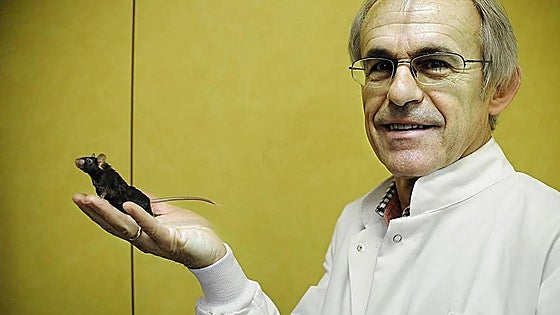 Un estudio sobre los efectos de correr una maratón en el cerebro, segundo más importante del año para la revista 'Nature'