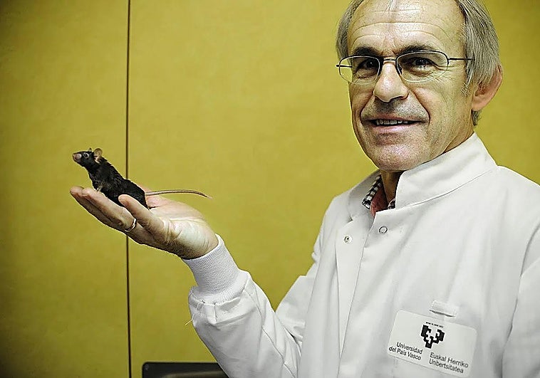 Un estudio sobre los efectos de correr una maratón en el cerebro, segundo más importante del año para la revista 'Nature'