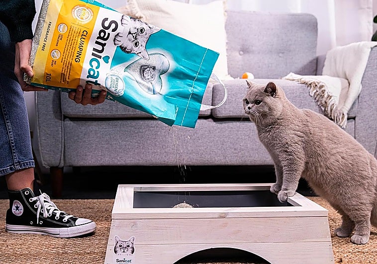 Las mejores arenas aglomerantes para gatos que controlan los olores y mantienen más limpio tu hogar