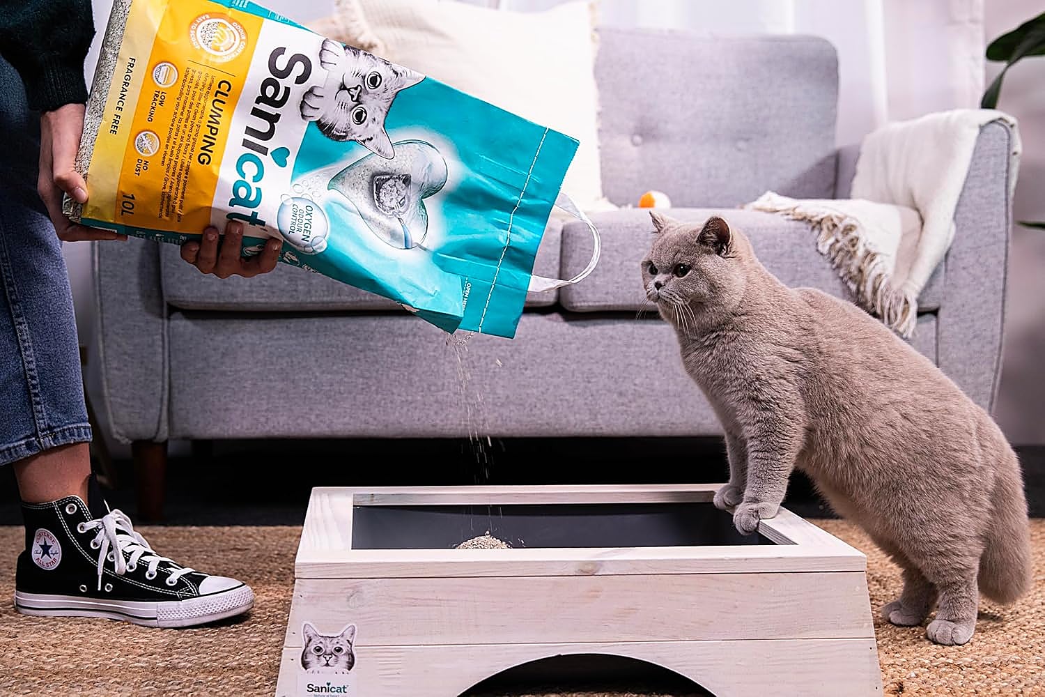 Las mejores arenas aglomerantes para gatos que controlan los olores y mantienen más limpio tu hogar