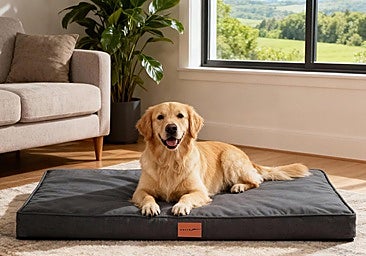 Estas camas ortopédicas para perros grandes mejorarán el descanso de tu peludo