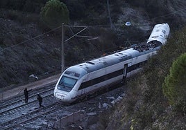 El accidente ferroviario en Amaduz, Córdoba, en imágenes