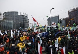 El Parlamento Europeo paraliza el acuerdo comercial con Mercosur y lo lleva a la Justicia europea