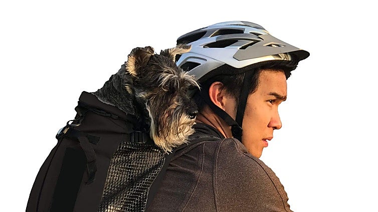 Disfruta de rutas seguras y cómodas con tu mascotas gracias a esta mochila porta-perros