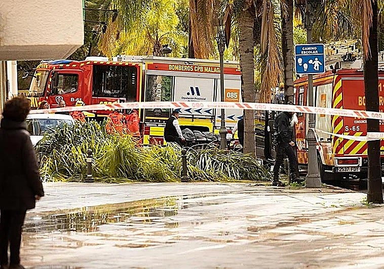 La joven fallecida al caerle una palmera en Torremolinos iba a comisaría a recoger su tarjeta de residencia