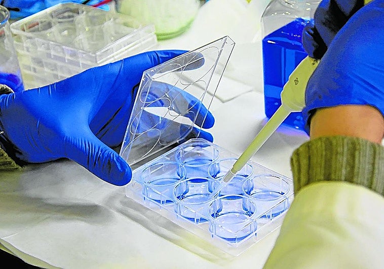 La mayoría de españoles confía en que la ciencia curará el cáncer en 2050 pero no en que acabe con la pobreza