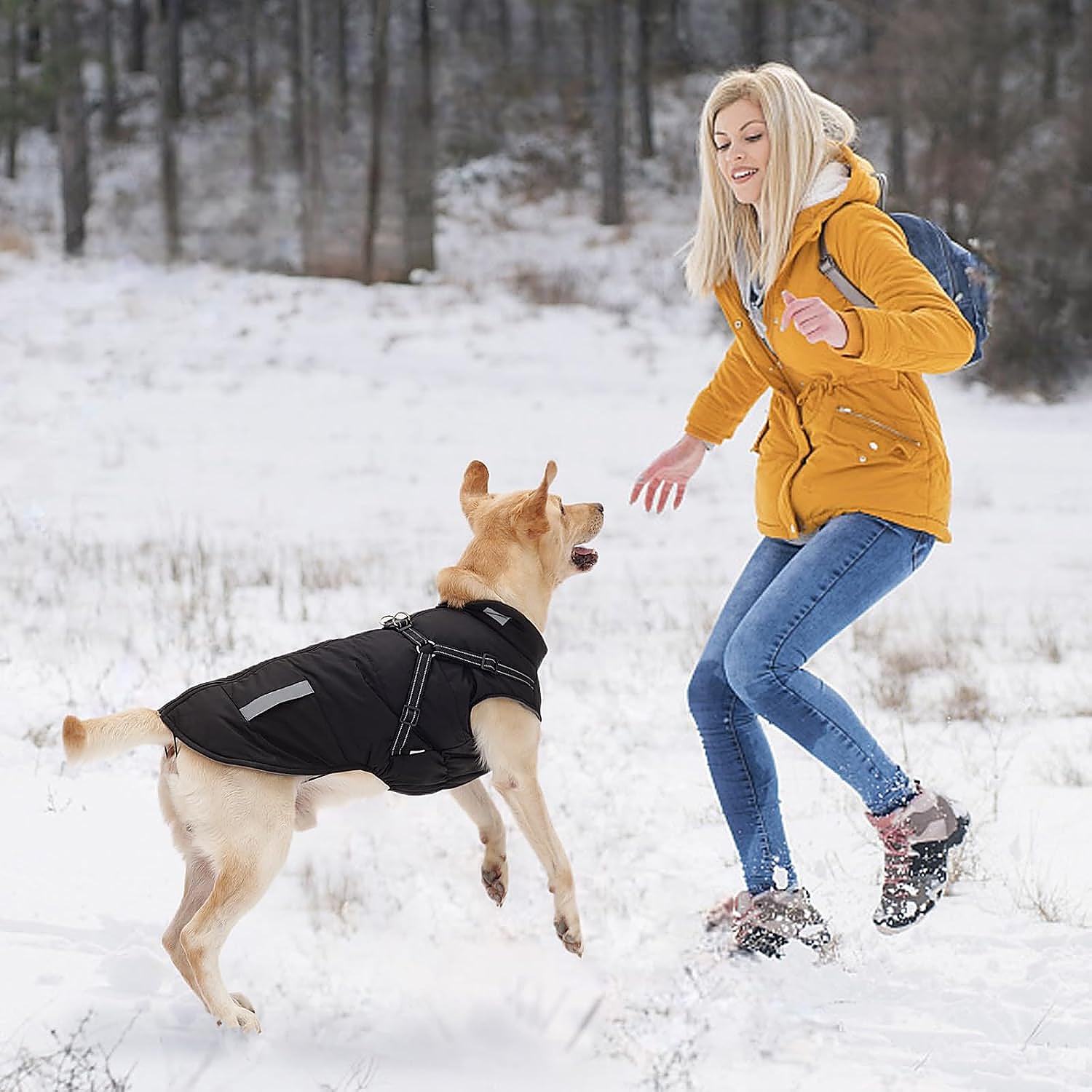 ¡A tu perro tampoco le gusta mojarse! Hazte con estos impermeables para pasear con él bajo la lluvia