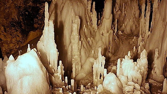 La bacteria que ha aguantado 5.000 años bajo el hielo y es resistente a 10 antibióticos