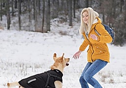 ¡A tu perro tampoco le gusta mojarse! Hazte con estos impermeables para pasear con él bajo la lluvia