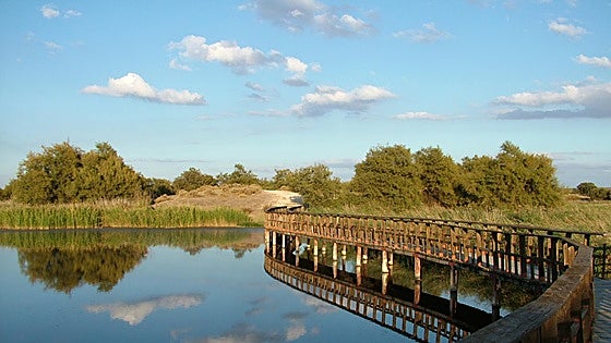 Inundación histórica de Las Tablas de Daimiel gracias a las borrascas Kristin, Leonardo y Marta