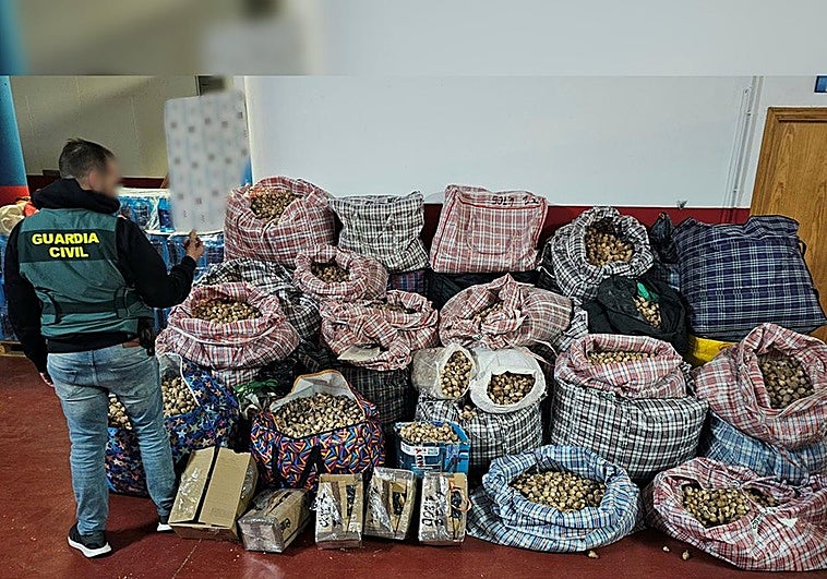 Desarticulada una banda que traficaba con amapolas de uso farmacéutico