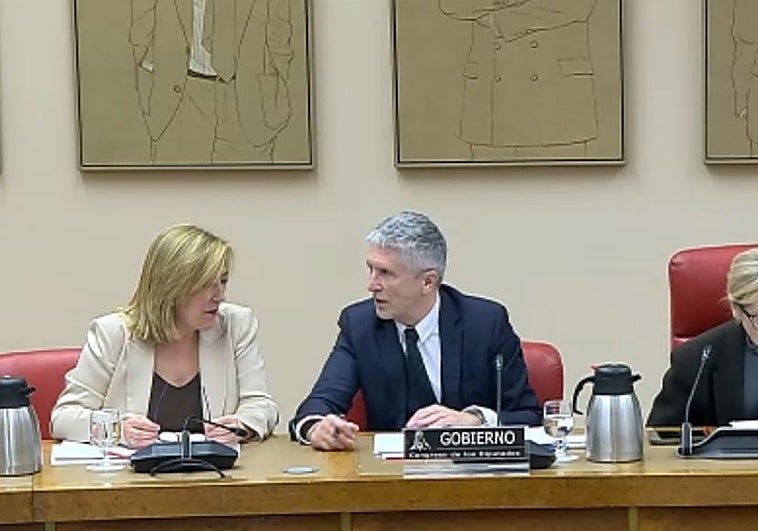 Marlaska defiende la baliza V-16 como «el fin de la sangría de atropellos»