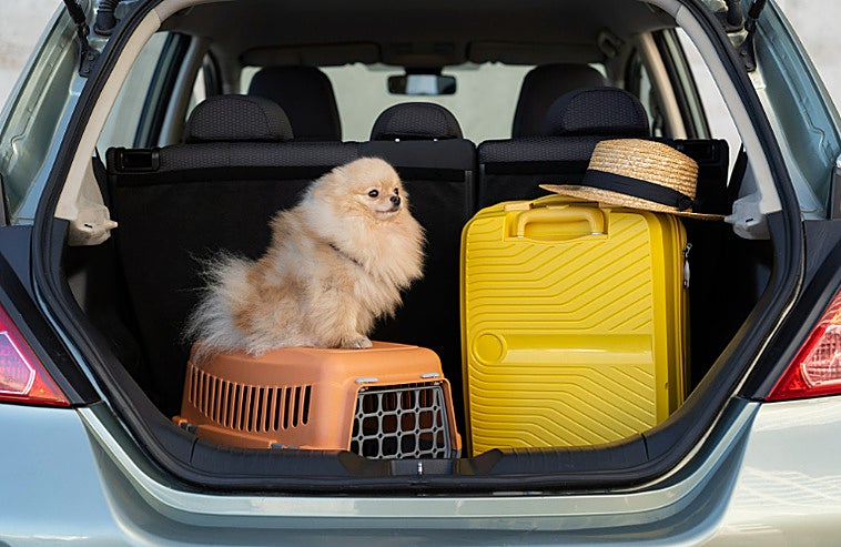 Estos transportines homologados harán que cualquier viaje con tu mascota sea más seguro