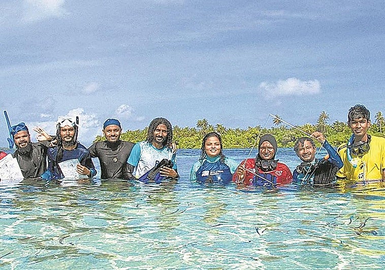Sólo hay bañadores en ‘Bikini Beach’