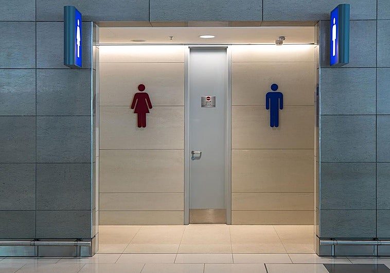 ¿Puedo contraer gonorrea por usar un baño público? Estas son las enfermedades que puedes coger