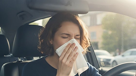 Comienzan las alergias: Vigila estos puntos a la hora de coger el coche