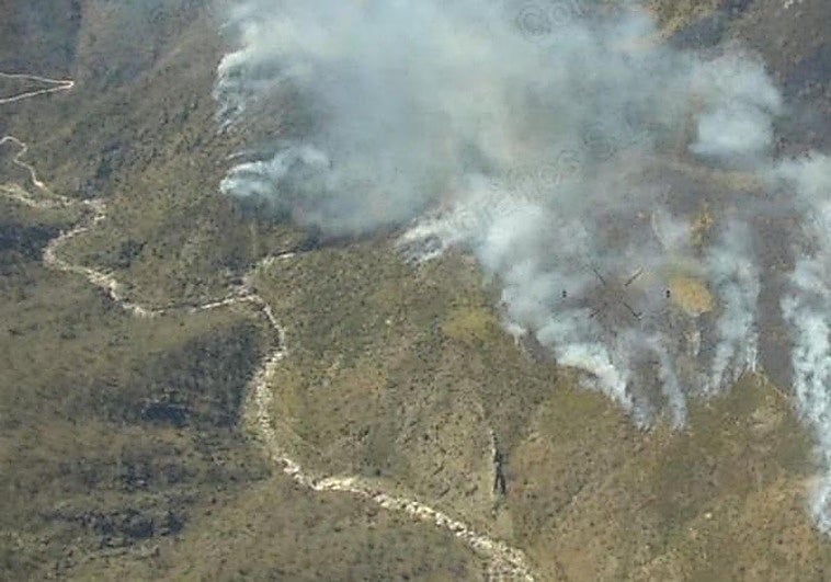 Evoluciona favorablemente el primer gran incendio forestal del año en Extremadura